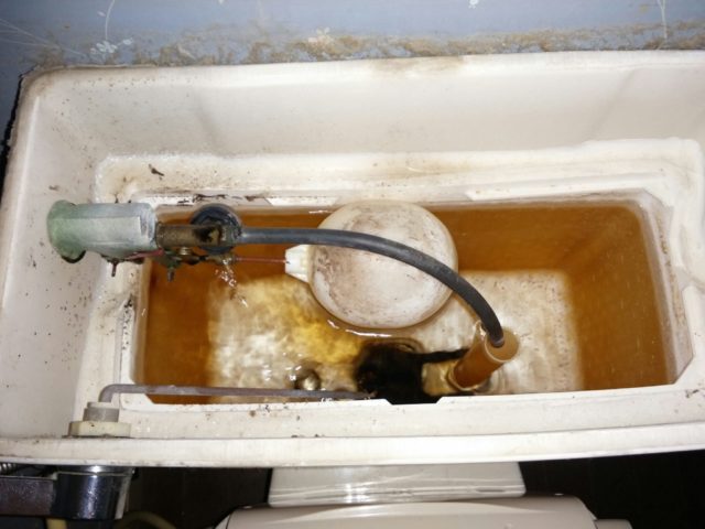 トイレ水漏れ修理の写真