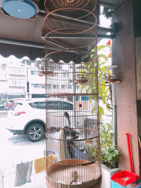 台湾鳥街