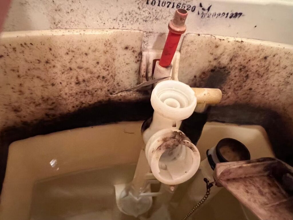 トイレ水漏れ修理タンク部品修理交換板橋区