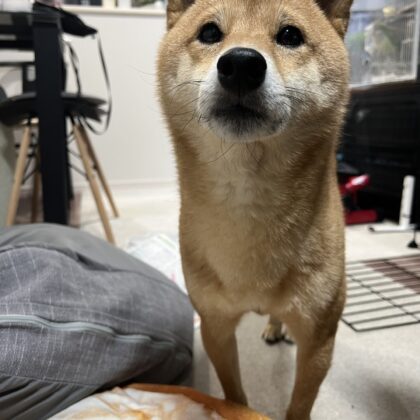 流山市蛇口交換​