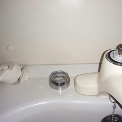 蛇口交換​江戸川区平井、本一色