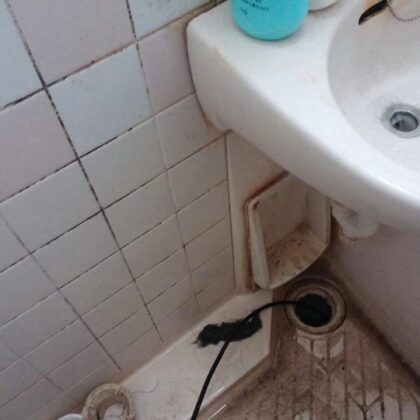 三郷市水漏れ修理​