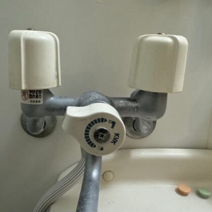 蛇口交換​江戸川区二之江町・春江町