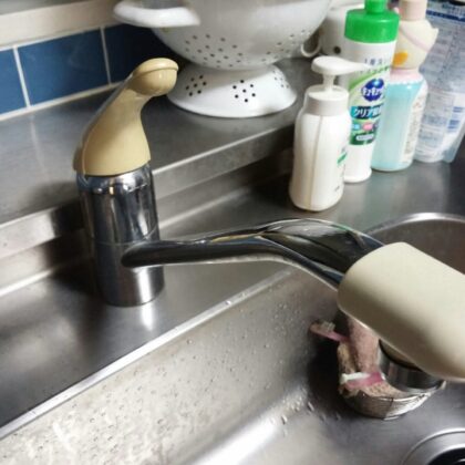 蛇口修理豊島区雑司ヶ谷・千川