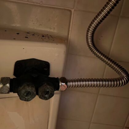 蛇口葛飾区西新小岩・西水元