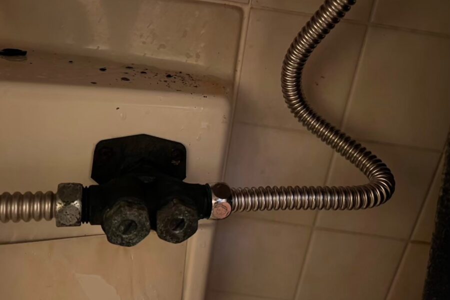 蛇口葛飾区西新小岩・西水元