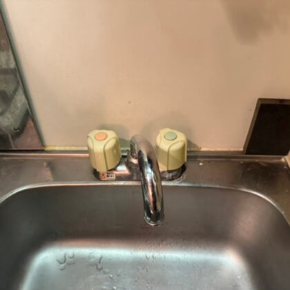 蛇口交換​キッチン