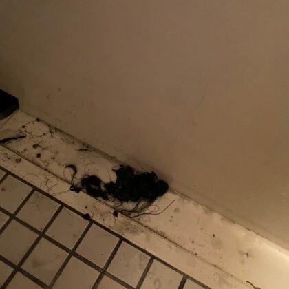 ユニットバス詰まり世田谷区瀬田、成城