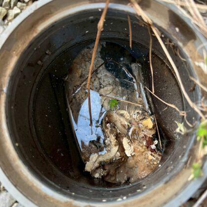 高圧洗浄中野区鷺宮、白鷺