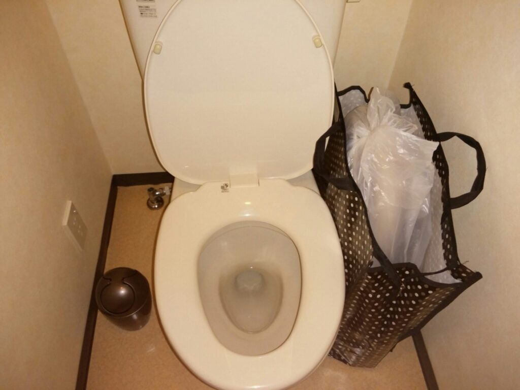 ãã€ã¬æ°ŽæŒãæ¿æ©åºåçºãåè