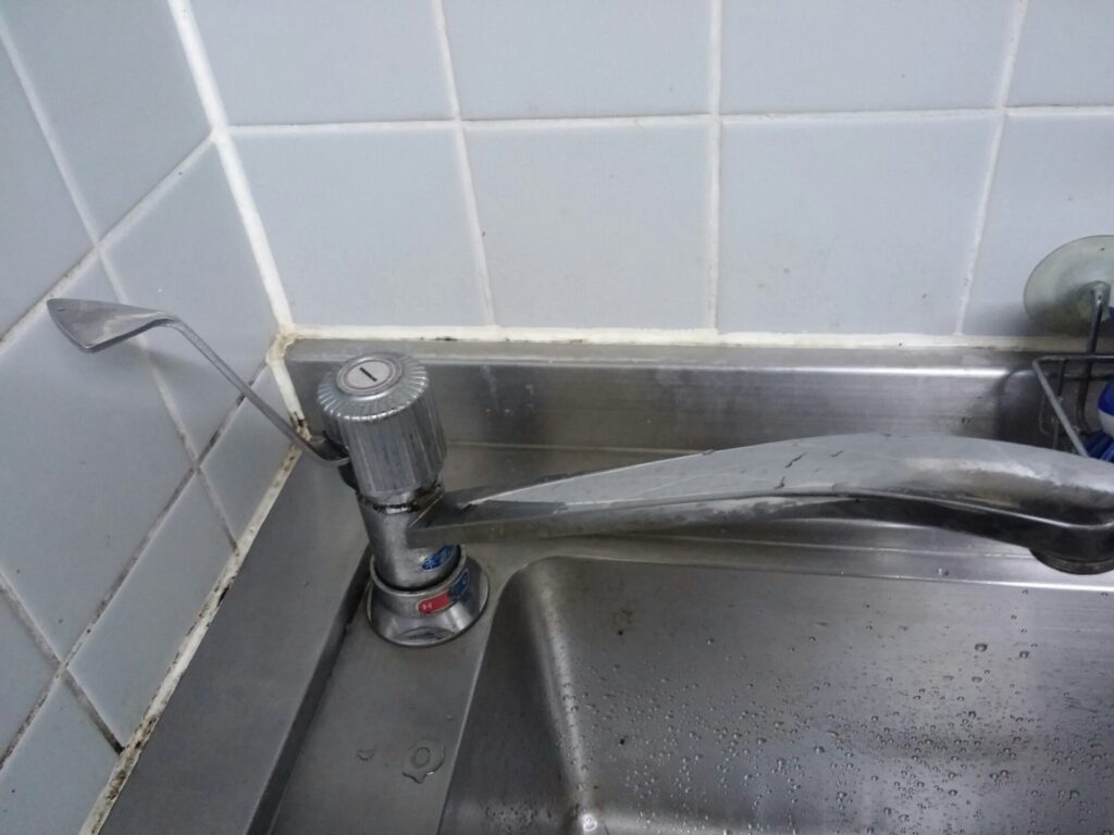 æ°Žéå±ç®é»åºèªç±ãäžé§
ãéœç«å€§åŠé§